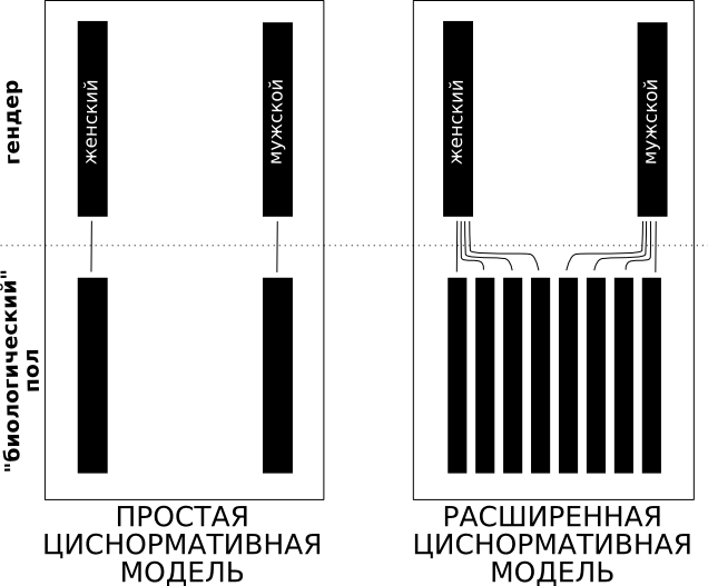 dyadocentrism-trans-discourse-ciscentrism-intersex-discourse