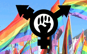 rainbow flag transfeminism